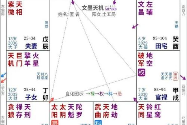 紫薇斗数怎么看宫吉凶
