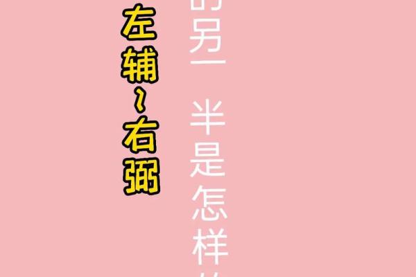 紫薇星左辅右弼入夫妻宫