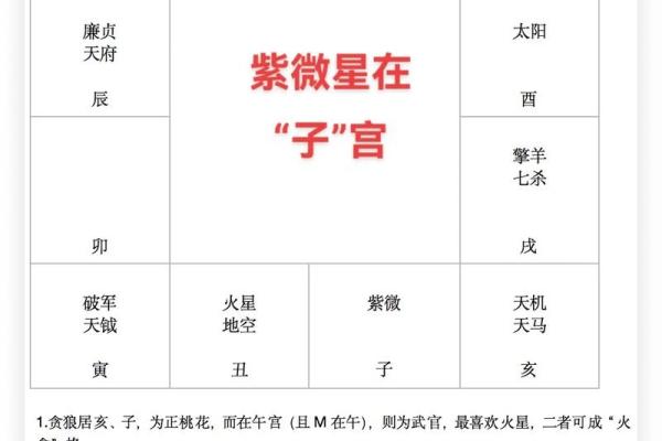 紫薇斗数子斗戌