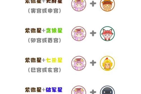 紫薇斗数软件破解