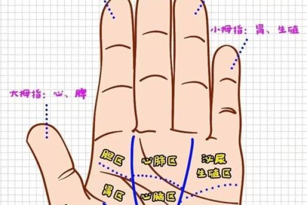 手相风水：命运线中间断开象征什么意义