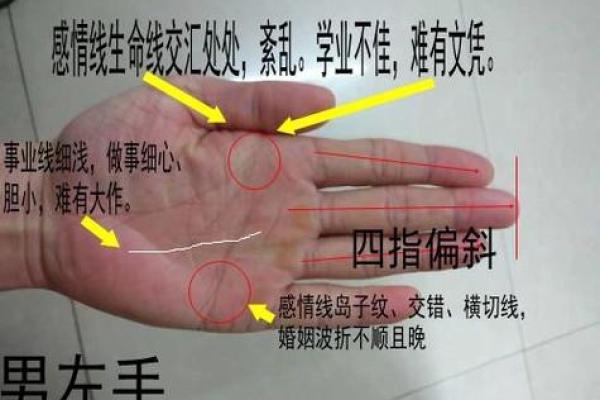 看手相算命：第四课 论事业命运