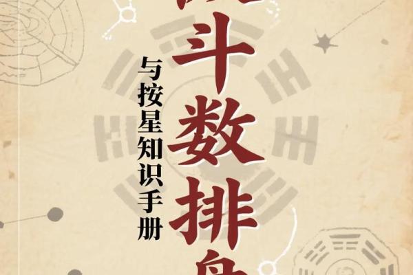 我的之一本紫薇斗数书