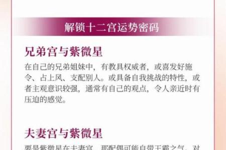 紫微斗数诸星落诸宫之：紫微星夫妻宫详解