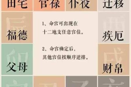 紫薇斗数看豪宅