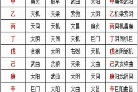 包含紫薇斗数推断实例的词条