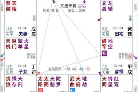 紫薇斗数怎么看宫吉凶