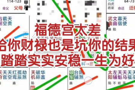 紫薇斗数赚钱