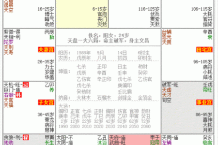 紫薇斗数有那么神奇吗