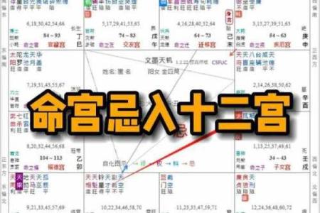 紫薇斗数免费算命