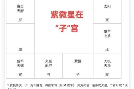 紫薇斗数子斗戌
