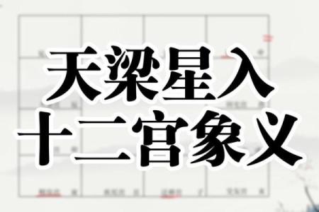 紫微斗数之兄弟宫与诸星,天梁星在兄弟宫是什么意思？
