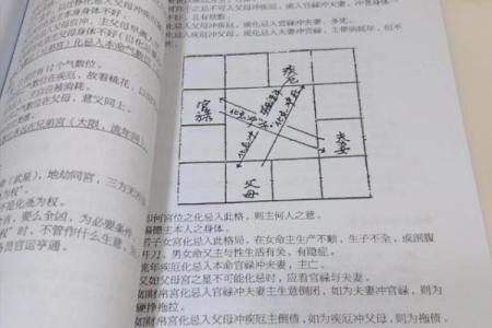 伟人紫薇斗数