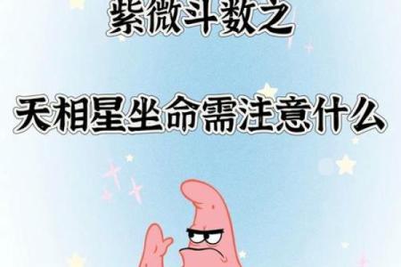 紫微斗数之福德宫与诸星，天相星在福德宫是什么意思？