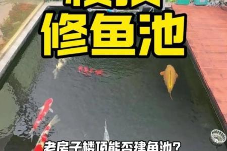 房子脚下建鱼池风水