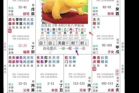 紫薇斗数软件破解