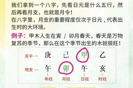 八字与命理关系大吗学生