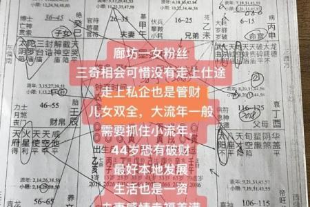 紫薇斗数平庙不