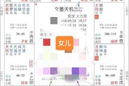 军师府紫薇斗数高级