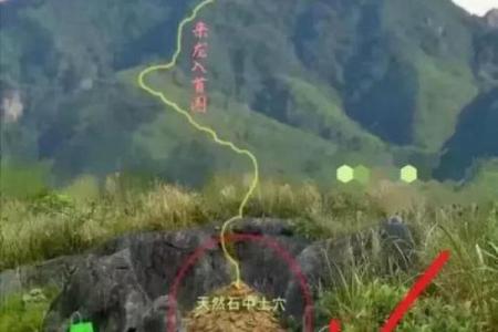 书的风水_风水知识地理纳挂书诀