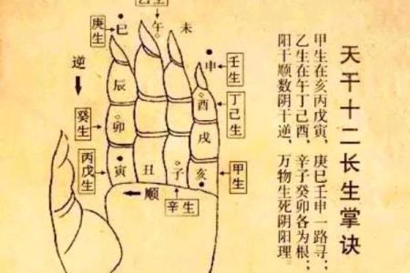 八字水太旺如何解决：有什么合理的方式
